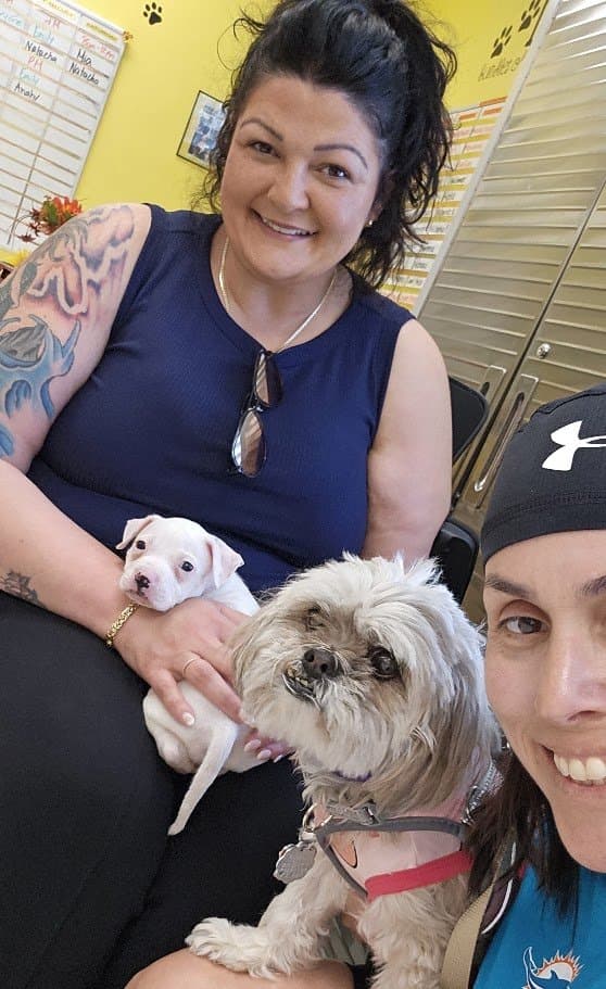 Momma and The Other Momma meeting the puppy, with Paris there too