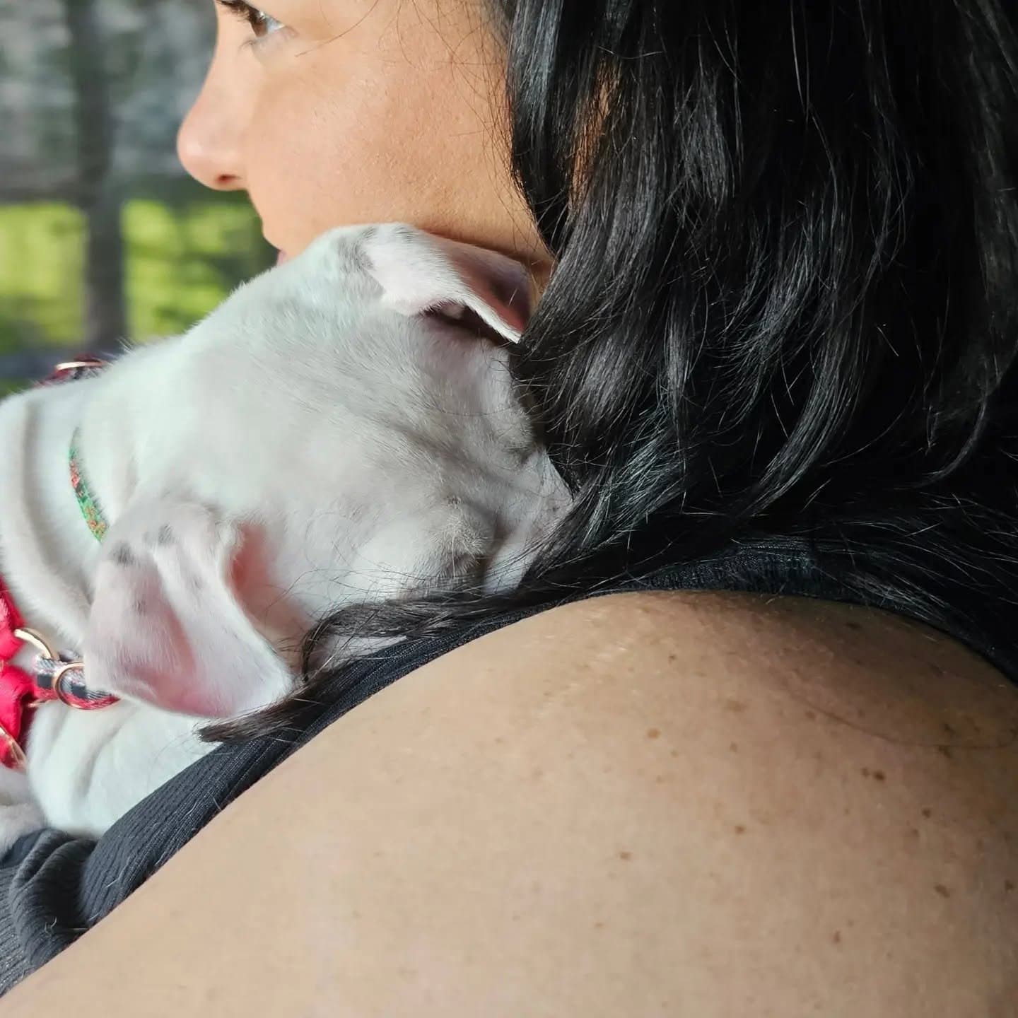 Puppy Misty resting on The Other Mommas shoulder on the way home.
