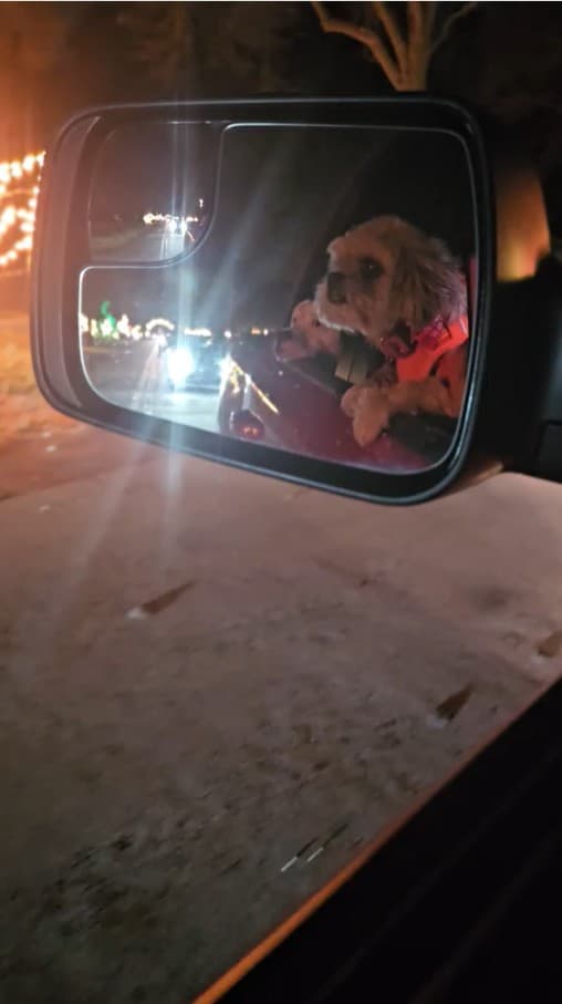 Paris framed in the side mirror with holiday lights glowing behind her.
