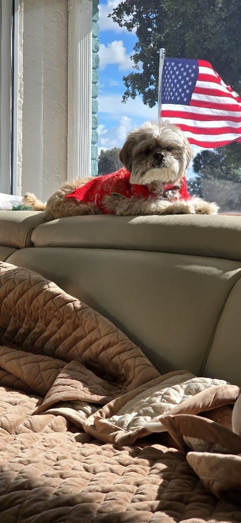 Paris in her red sweater resting by the window.
