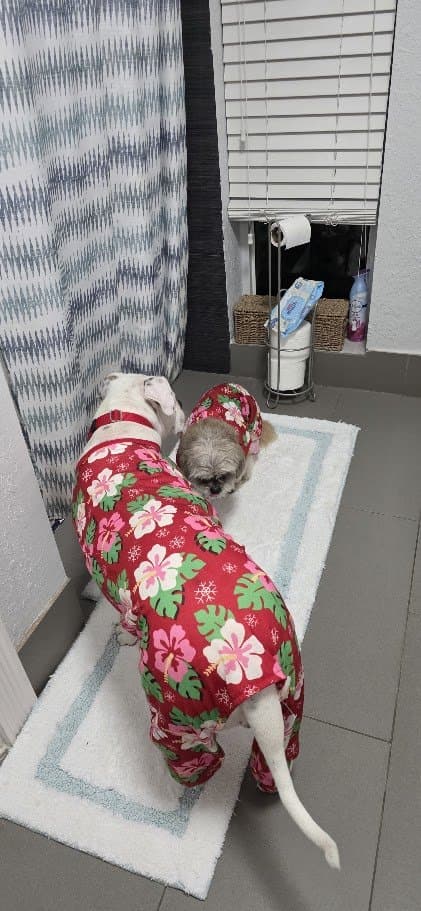Paris and Misty in matching floral pajamas.