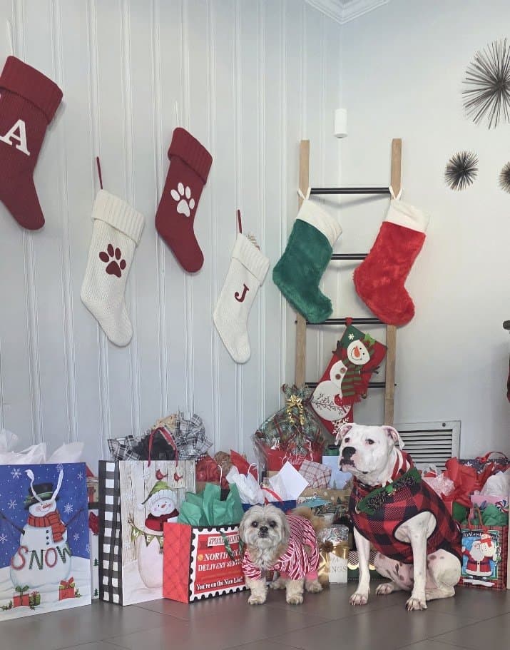 Paris and Misty in front of the stockings and a pile of presents.