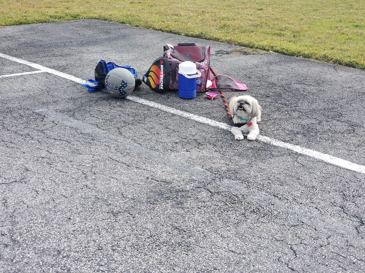 Paris on the court next to my ball, racquet, water jug, and her carrier