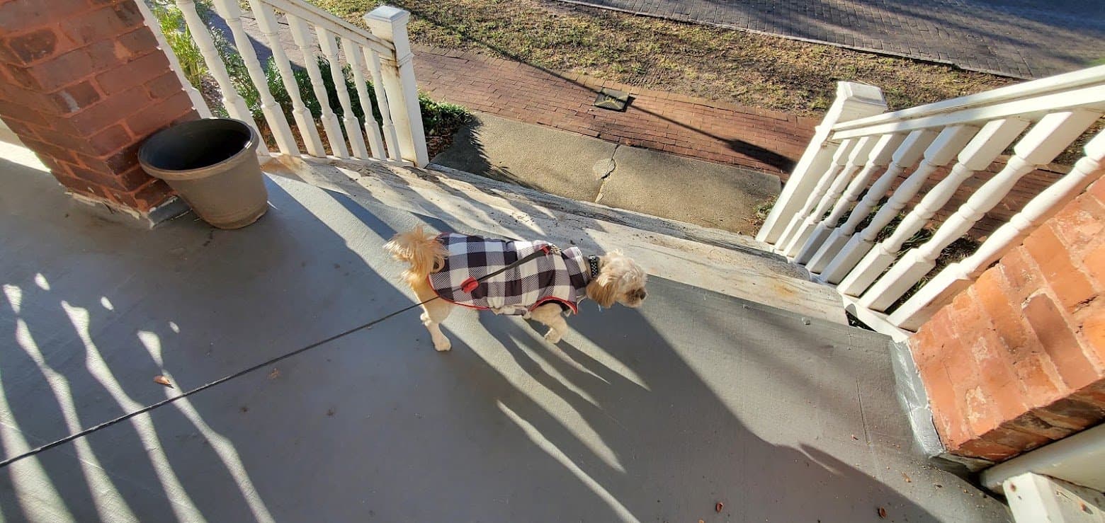 Paris in her plaid coat on the front steps of a Savannah building