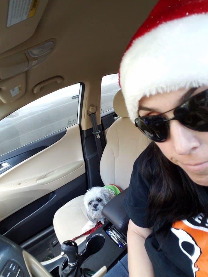 Paris riding co-pilot with Momma in her Santa hat.