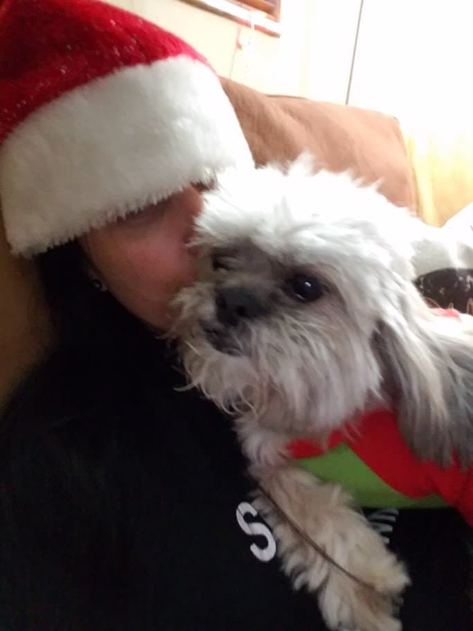 Momma kissing Paris, both in holiday gear.