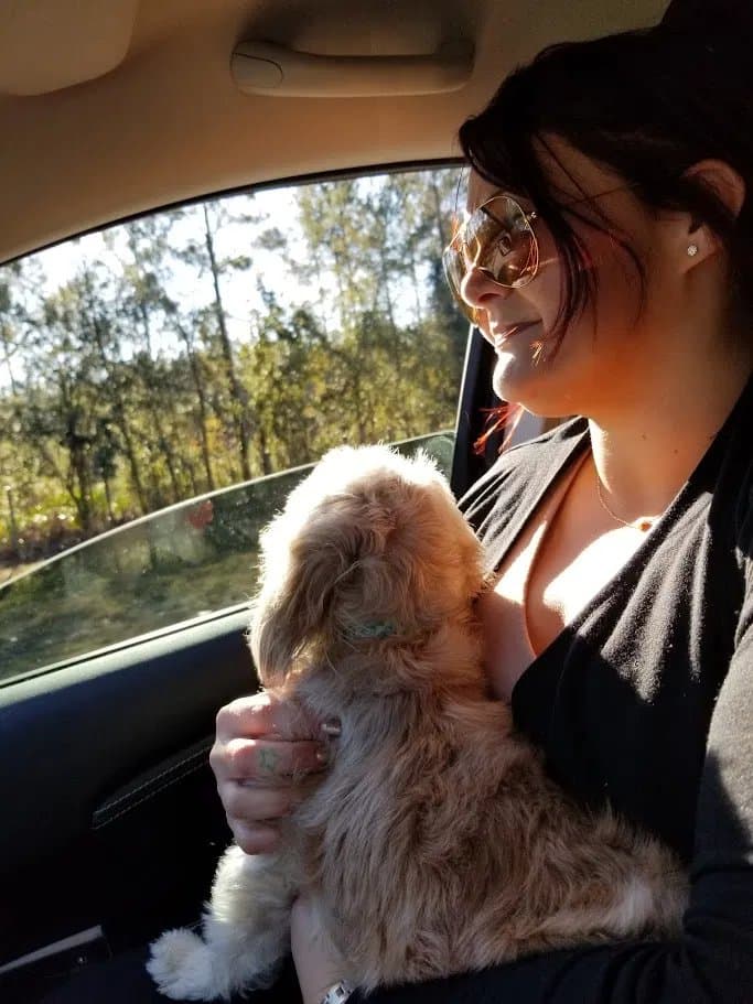The Other Momma holding Paris, watching the woods go by on the drive up.