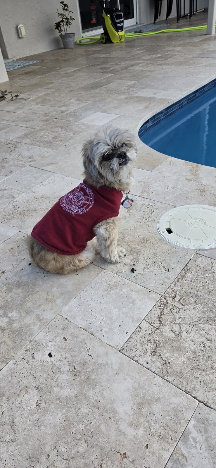 Paris sitting by the pool in her maroon shirt, gazing off in the afternoon.